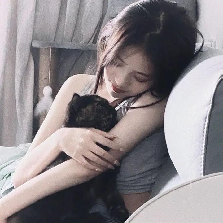 恶犬之下